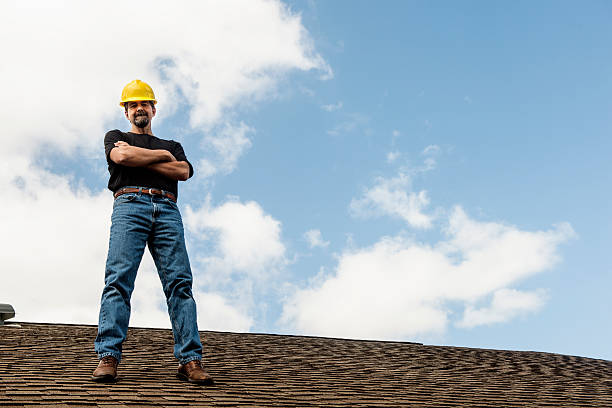 Best Roof Gutter Cleaning  in Calais, ME