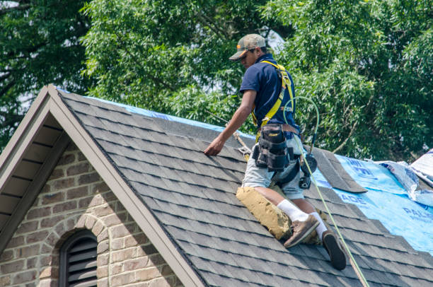 Best Local Roofing Companies  in Calais, ME